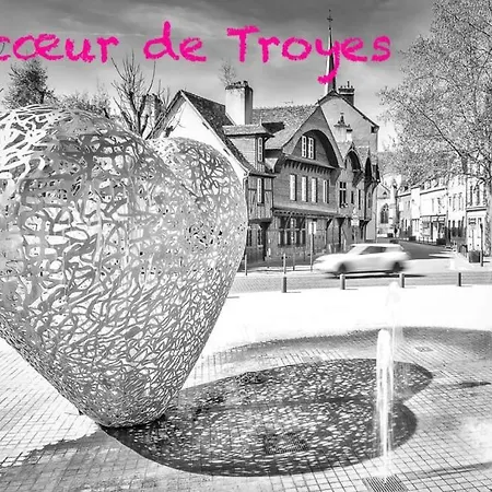 Le Mortier D'Or Duplex Hyper Centre Ville Troyes Buitenkant foto