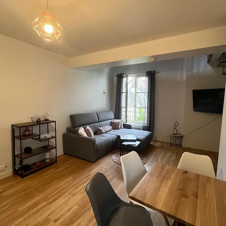 Le Mortier D'Or Duplex Hyper Centre Ville Troyes Buitenkant foto