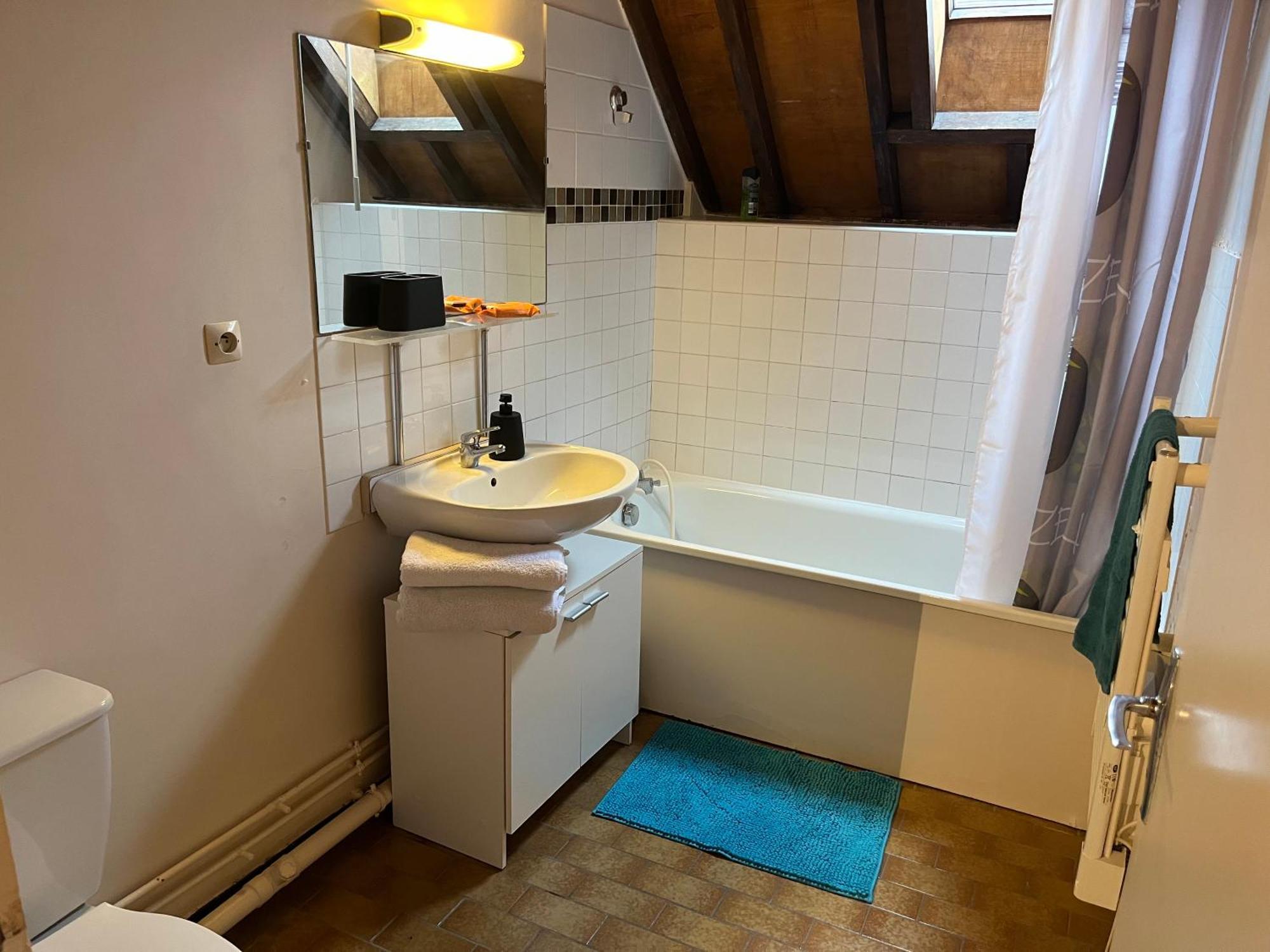 Le Mortier D'or Duplex Hyper Centre Appartement Troyes